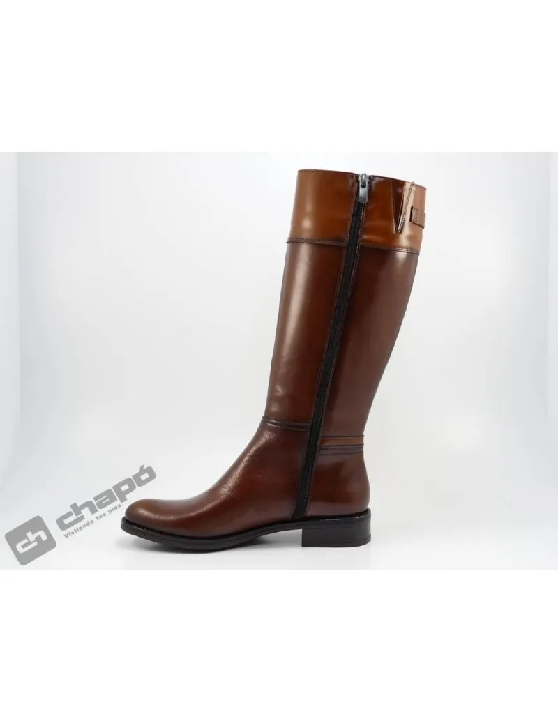 Botas Brandy Dorking D7687