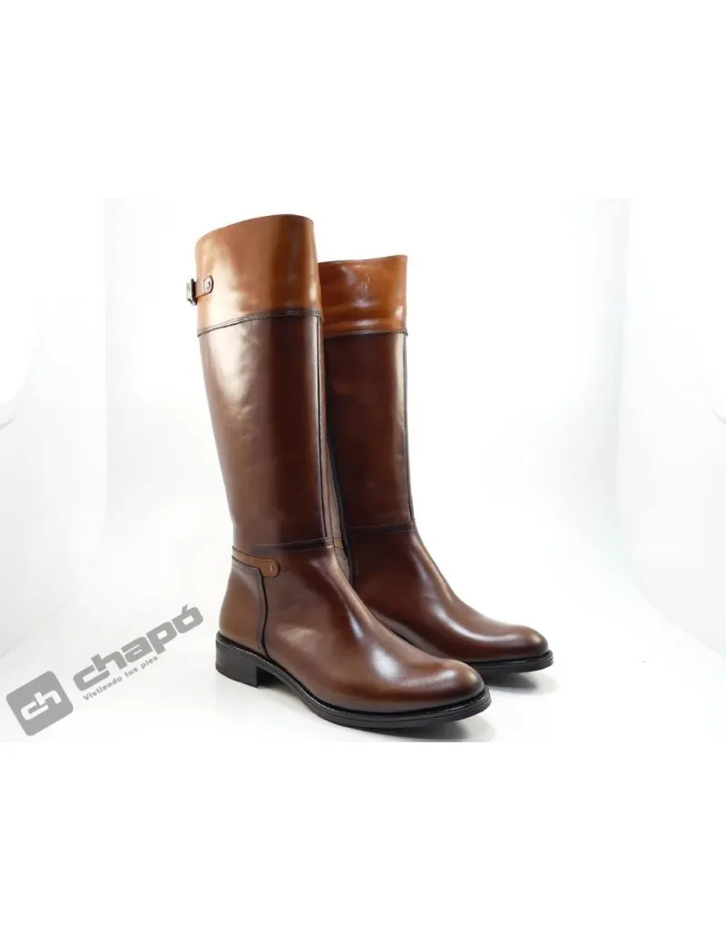 Botas Brandy Dorking D7687