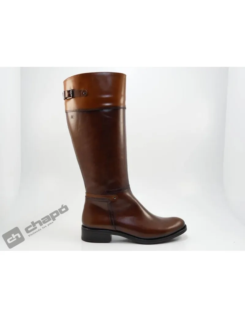 Botas Brandy Dorking D7687