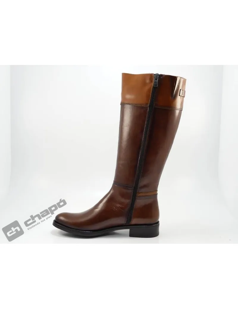 Botas Brandy Dorking D7687
